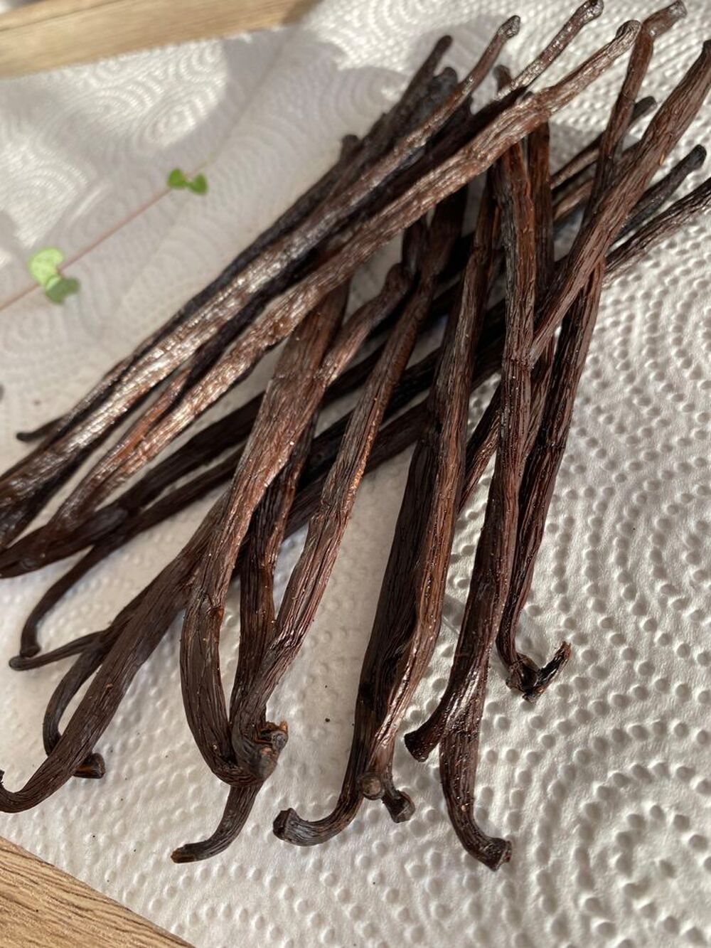 Lot de 10 gousses de Vanille Bourbon de Madagascar Cuisine