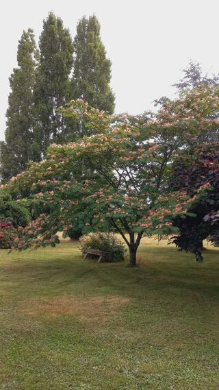  Maison � vendre 6 pi�ces 150 m�