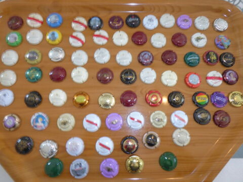 capsules de champagne 20 Saint-Pierre-des-�chaubrognes (79)