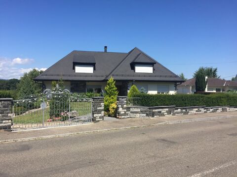   Villa viager Mulhouse Villa - 7 pièce(s) - 400 m²