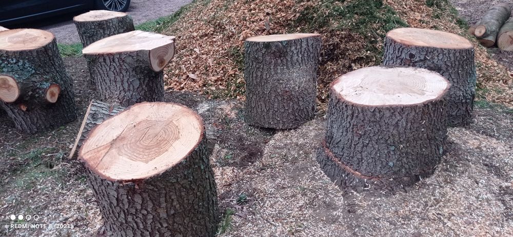 9 gros rondins de c&egrave;dre hauteur: 60 cm X 50 environ Jardin