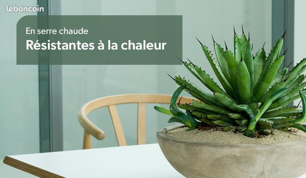 de v&eacute;g&eacute;taux au jardin du lavoir 16 Jardin
