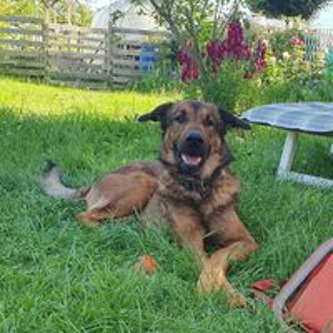   Iko 