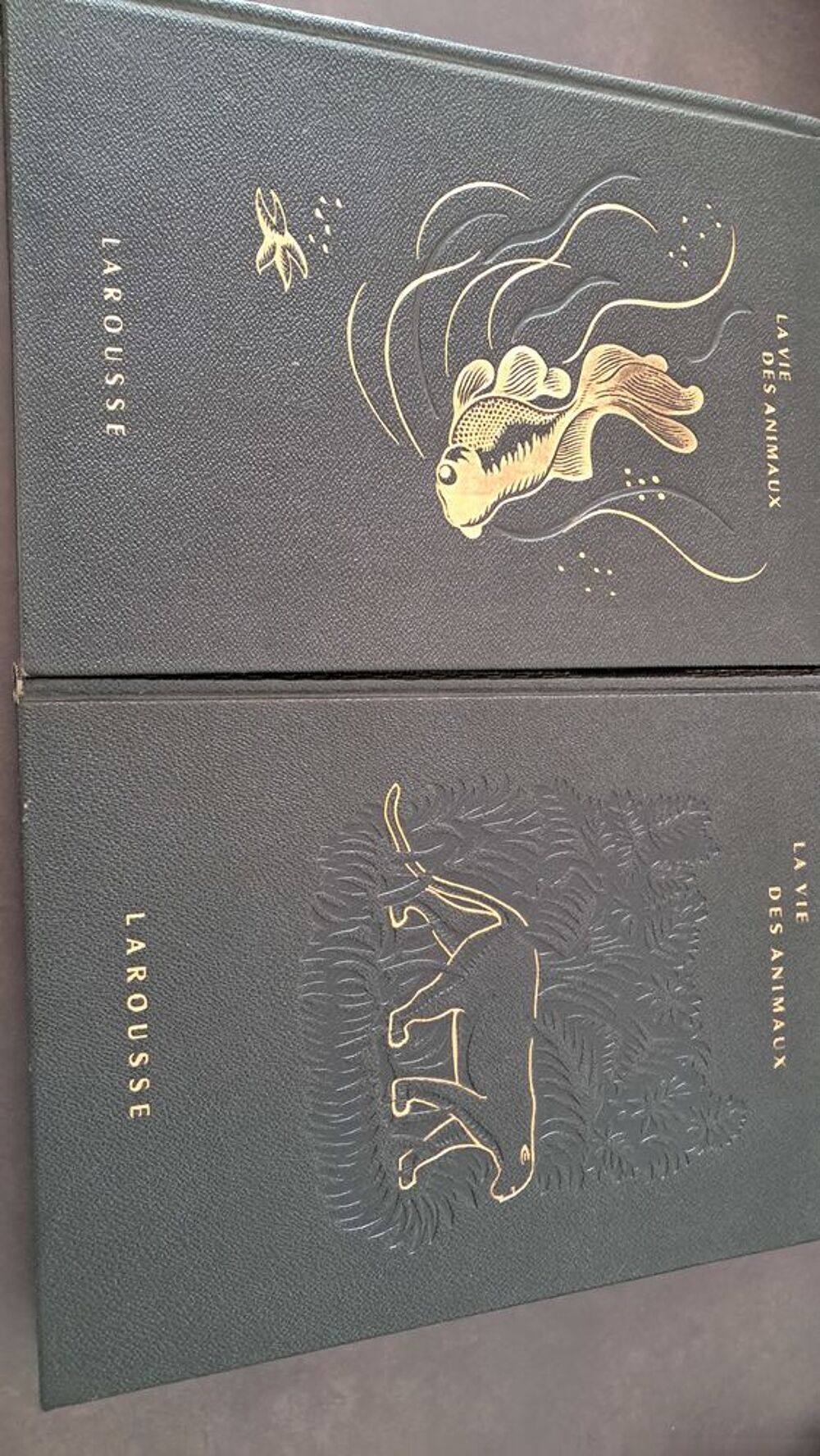 Livres &eacute;dition Larousse Livres et BD