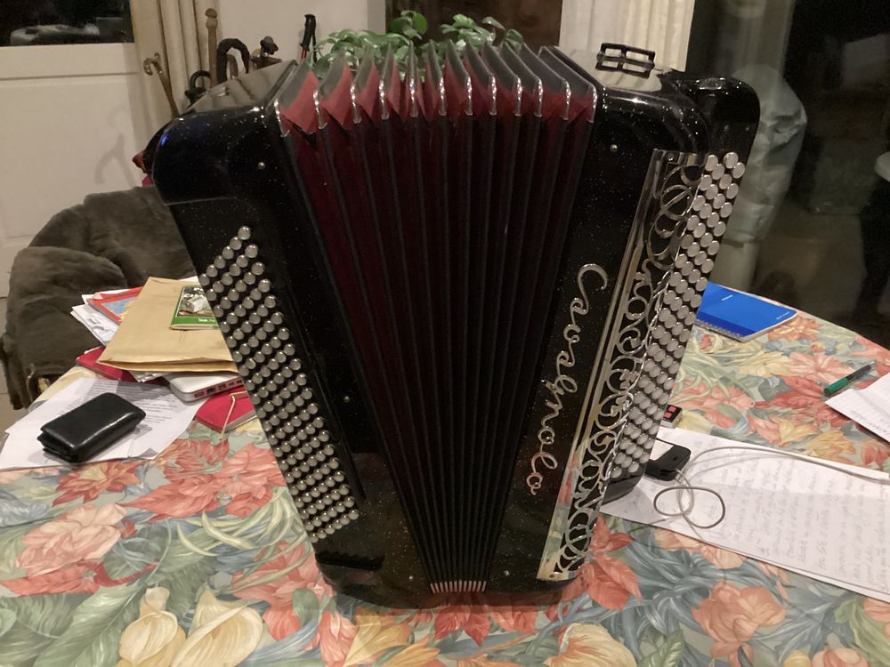 ACCORD&Eacute;ON CAVAGNOLO MOD&Egrave;LE RARE Instruments de musique
