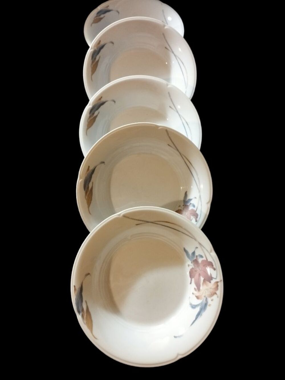 Assiettes Fine Porcelaine China Anatole 