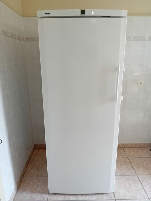 Cong�lateurA+++ Liebherr NoFrost Premium GNP3666 0 Pollestres (66)