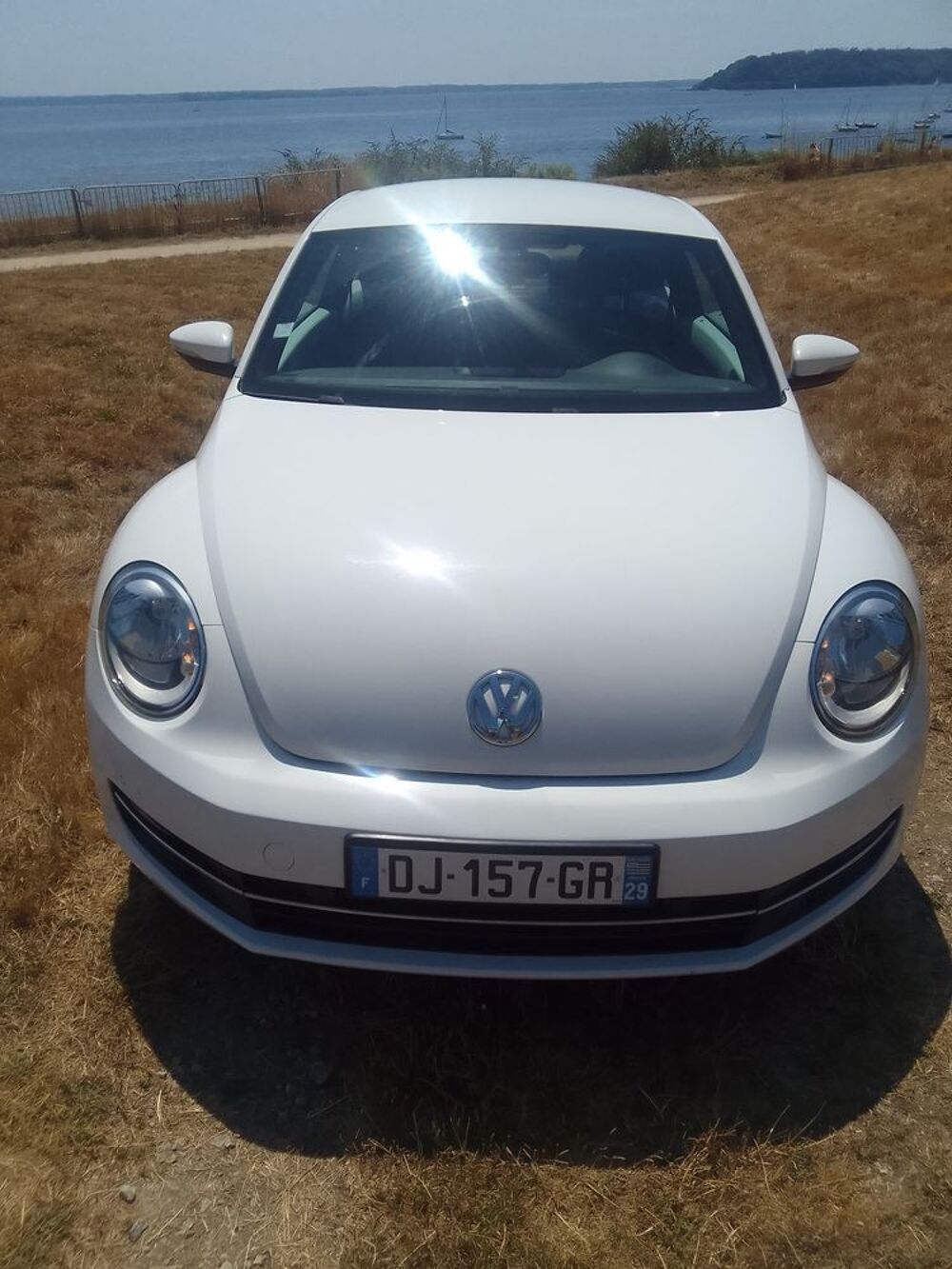 COCCINELLE II Coccinelle 1.6 TDI 105 FAP Vintage 2014 occasion 29200 Brest