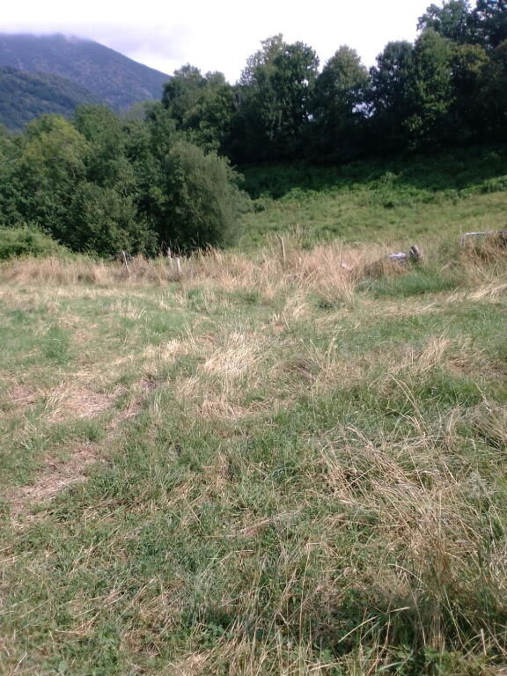 Vente Terrain TERRAIN AVEC GRANGE Esbareich