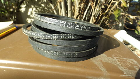 COURROIE SPZ 3 Combs-la-Ville (77)