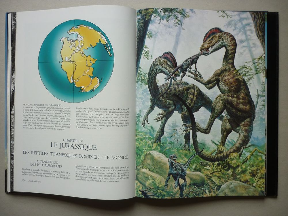 LES DINOSAURES Sylvia et Stephen Czerkas &Eacute;dit. ATLAS 1990) Livres et BD