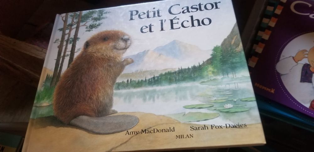 livres enfant Livres et BD