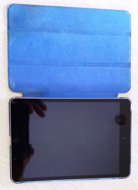 Tablette Apple iPad Mini  110 Vaux-sur-Mer (17)