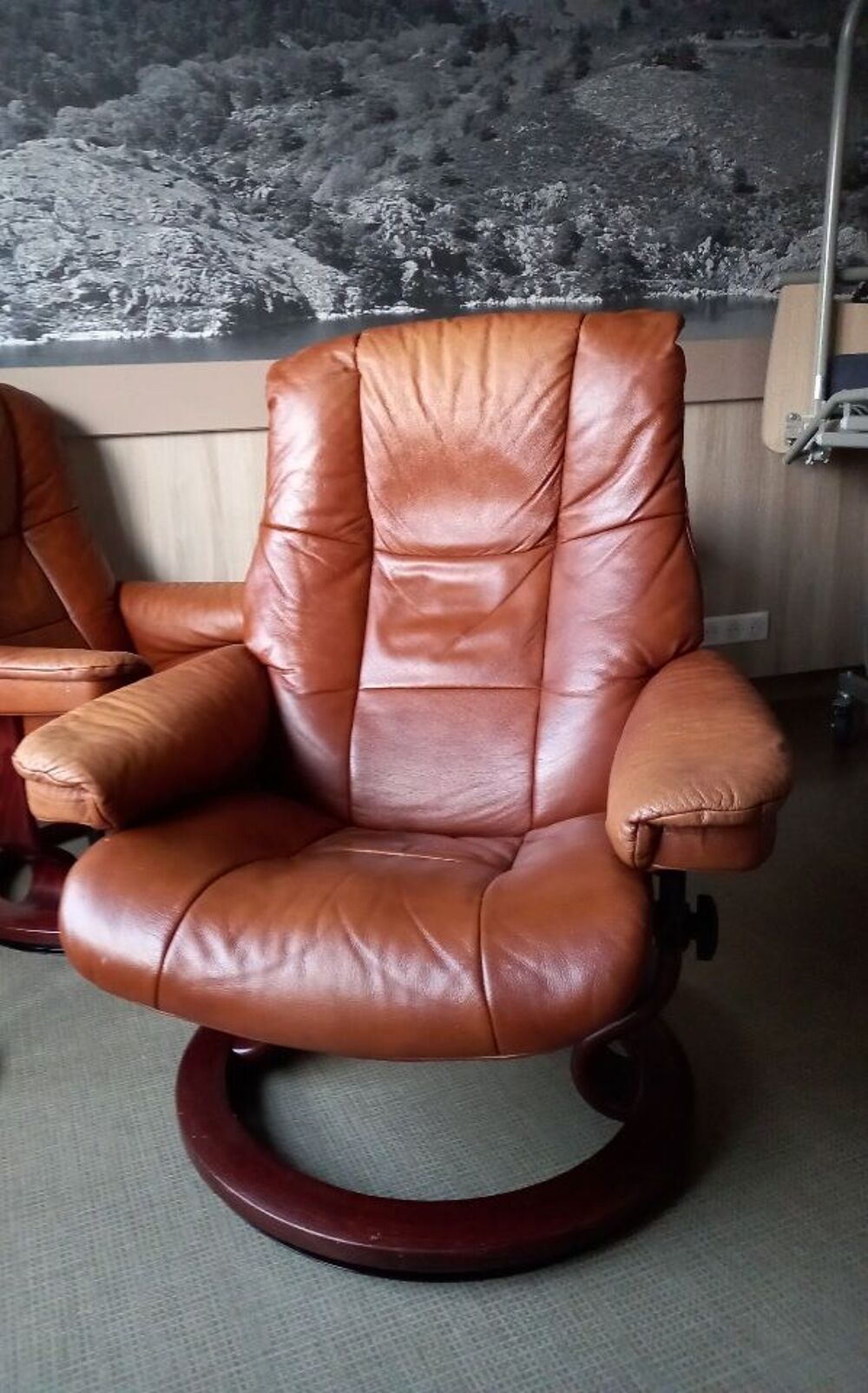 Achetez fauteuil stressless occasion, annonce vente à SaintÉtienne (42