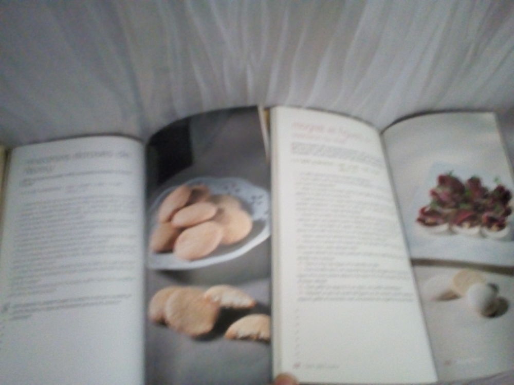 LIVRE DE RECETTES 'MACARONS' 51 RECETTES Livres et BD