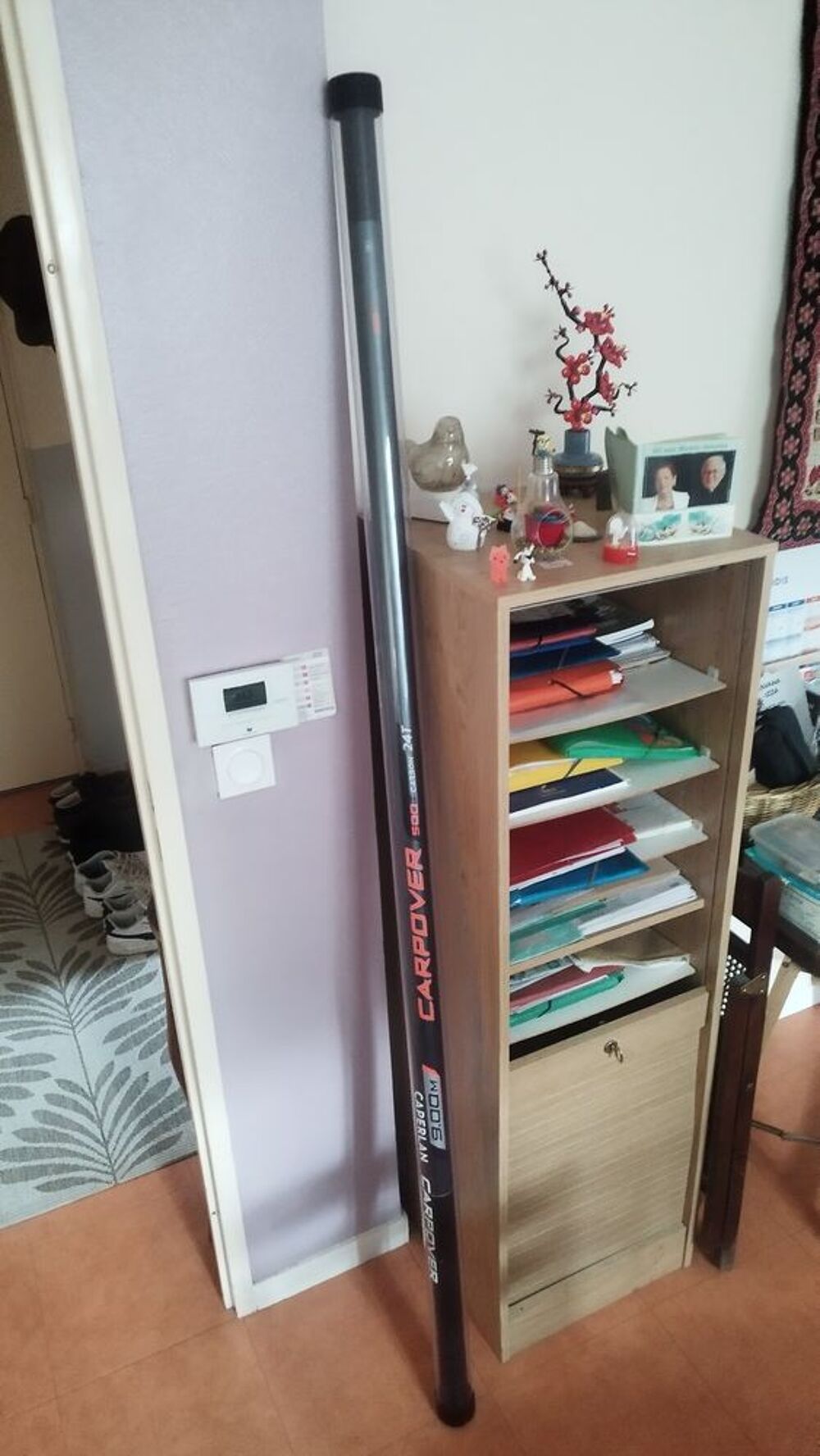 Canne a p&ecirc;che Sports
