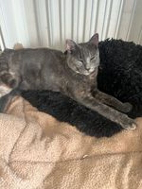   Aika recherche une famille adoptive pour la vie  