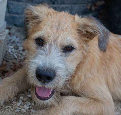 ZAZU 320 27620 Gasny