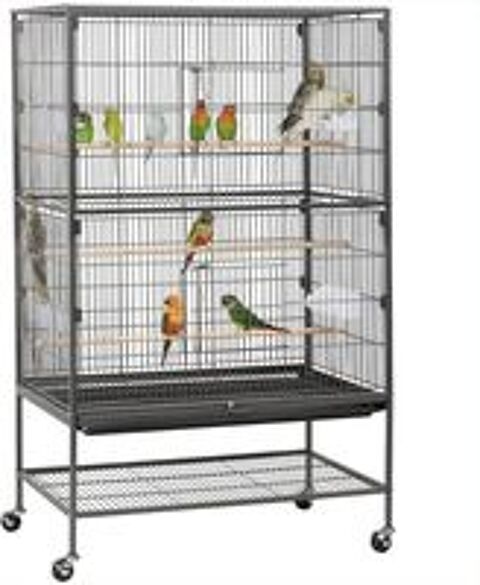   Cages oiseaux 