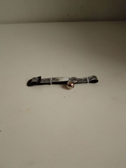 Collier de chats Lille (59)
