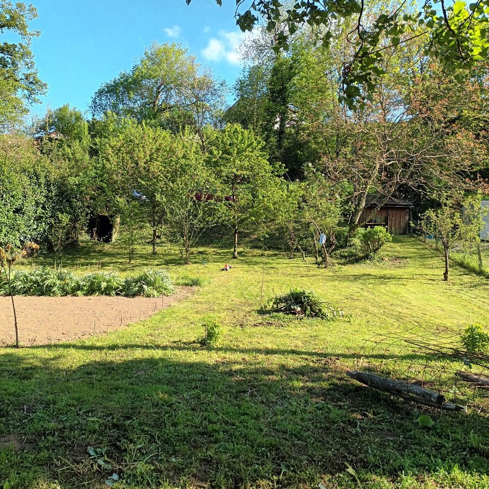 TERRAIN JARDIN Jardin