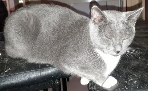 Sweety, jeune minette adorable  230 84190 Vacqueyras