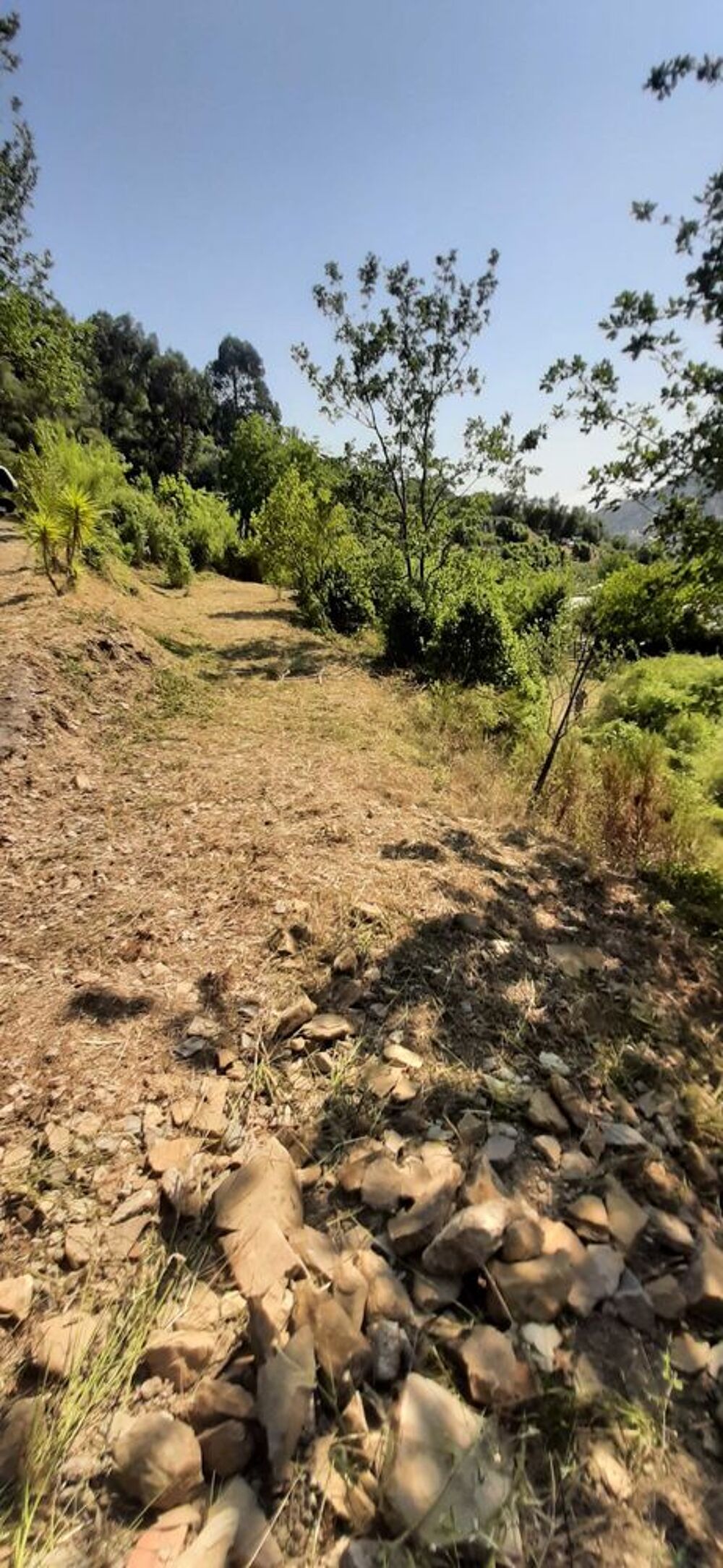 Vente Terrain terrain 1,6ha constructible viabilisé permis accordé à  Bordighera Menton