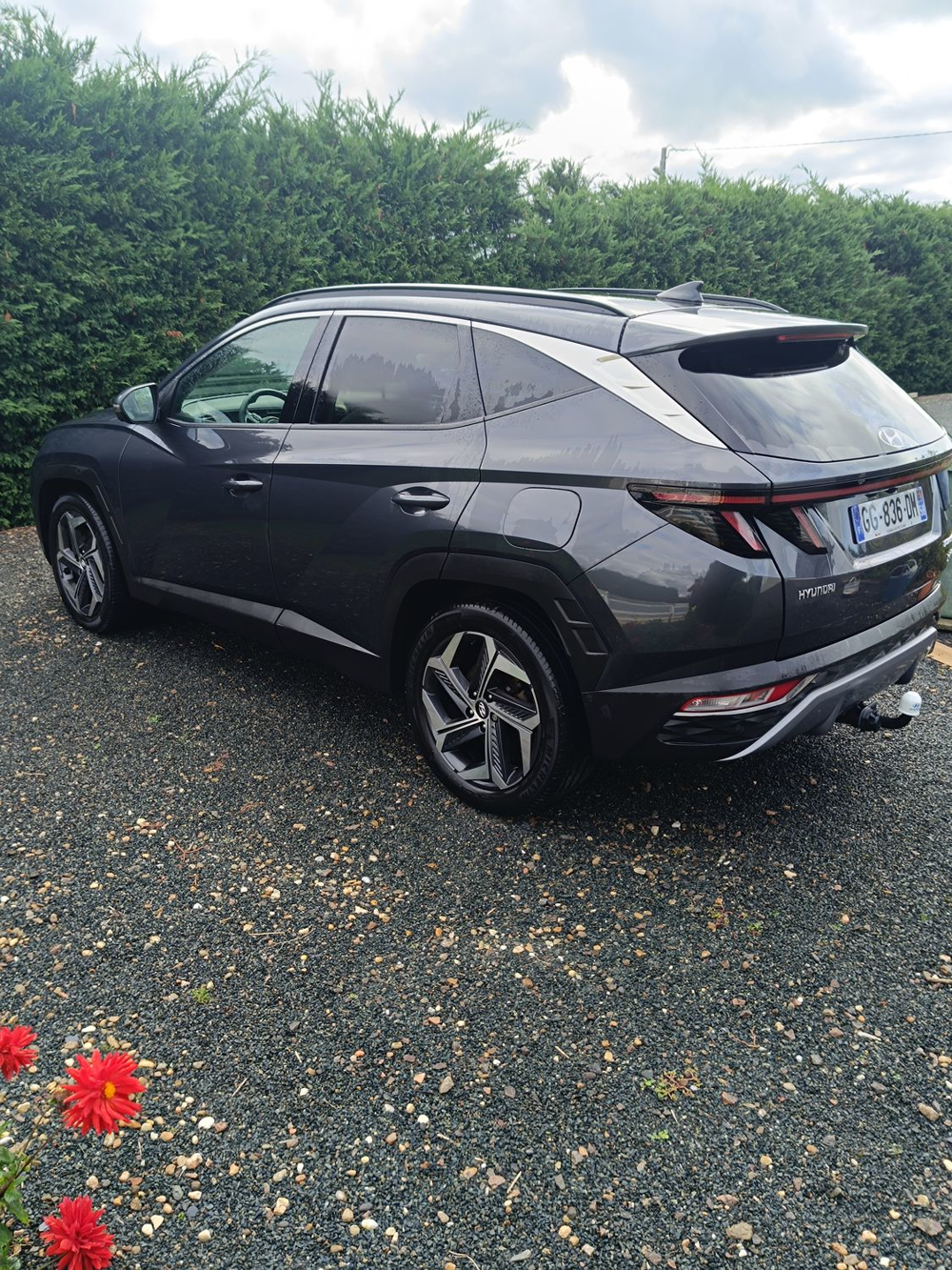 Tucson 1.6 T-GDI 230 HTRAC Hybrid BVA6 Creative 2022 occasion 58240 Saint-Pierre-le-Moûtier