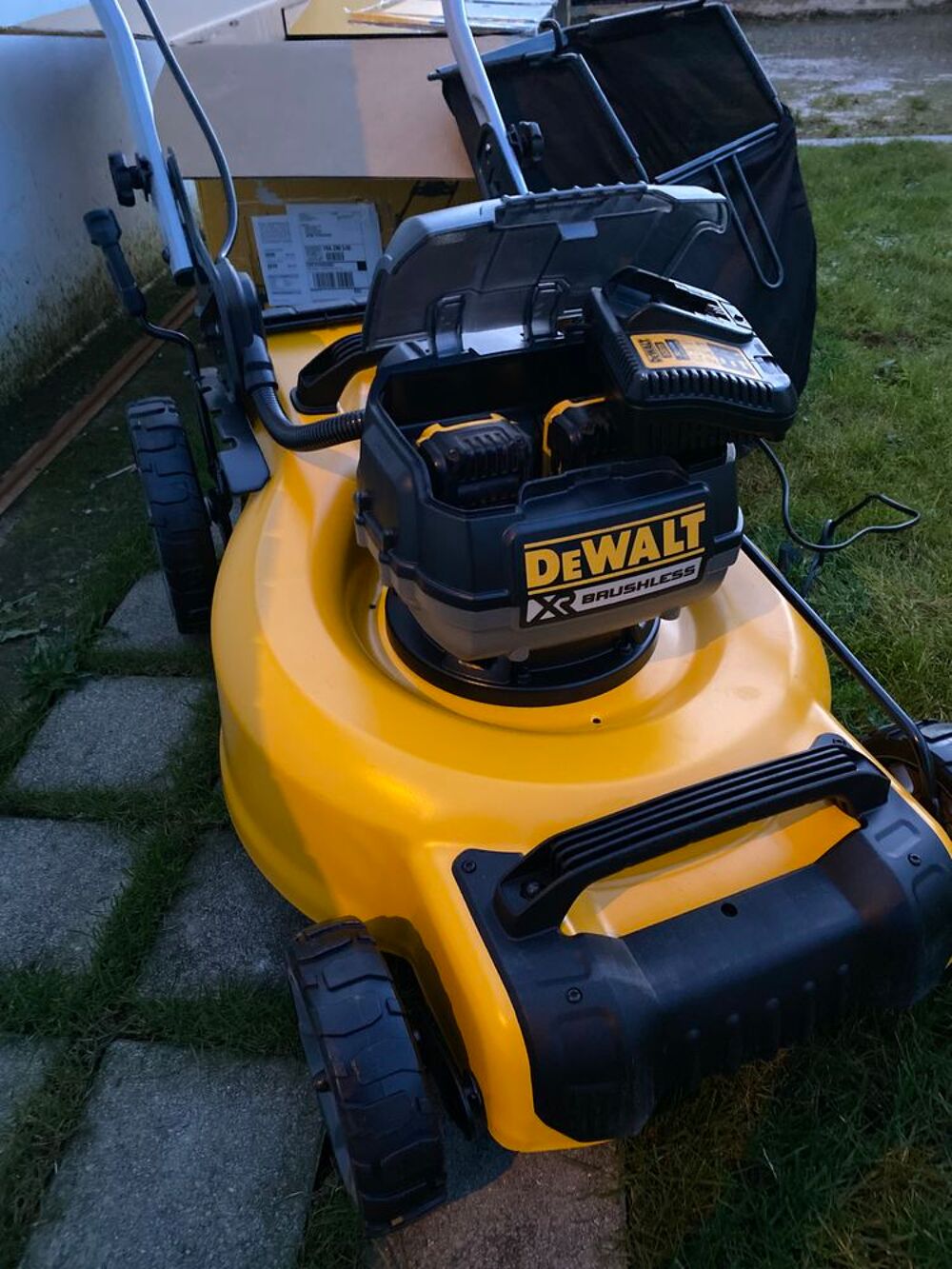 Tondeuse Dewalt batterie Jardin