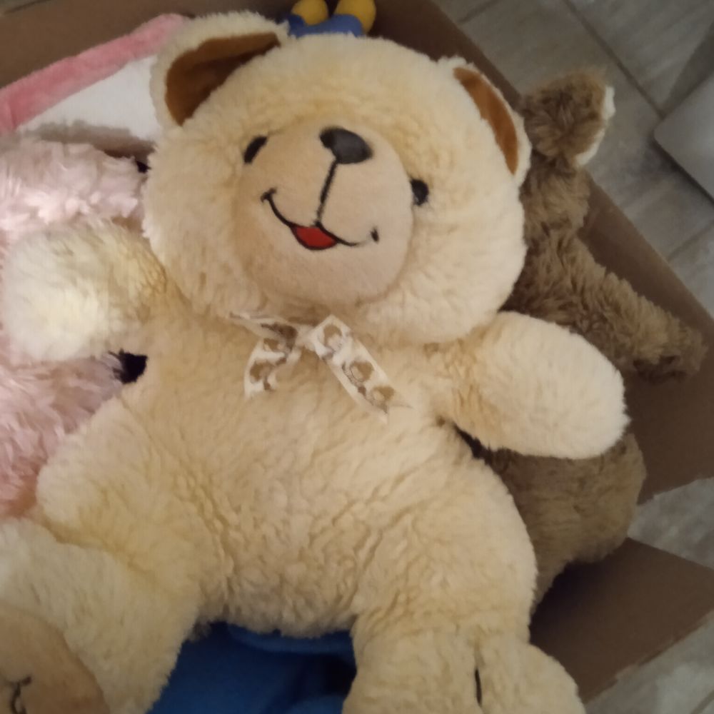 lot diverses peluches Jeux / jouets