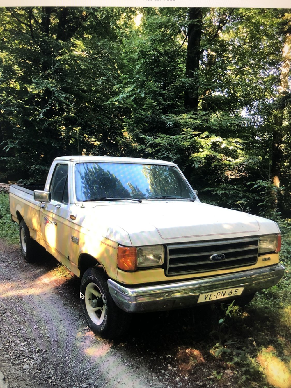 Divers F 150 CUSTUM 1990 occasion 81200 Aussillon