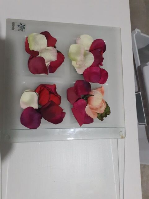 DESSOUS de PLAT Verre 8 Brou-sur-Chantereine (77)