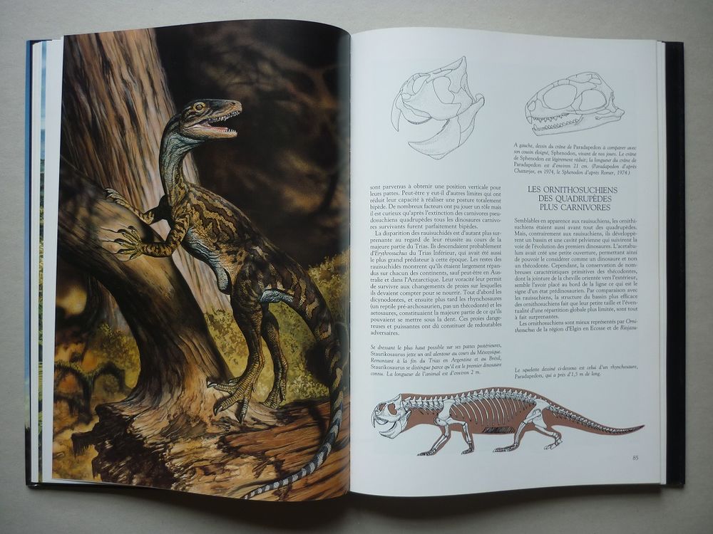 LES DINOSAURES Sylvia et Stephen Czerkas &Eacute;dit. ATLAS 1990) Livres et BD