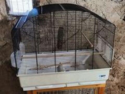  grande cage  