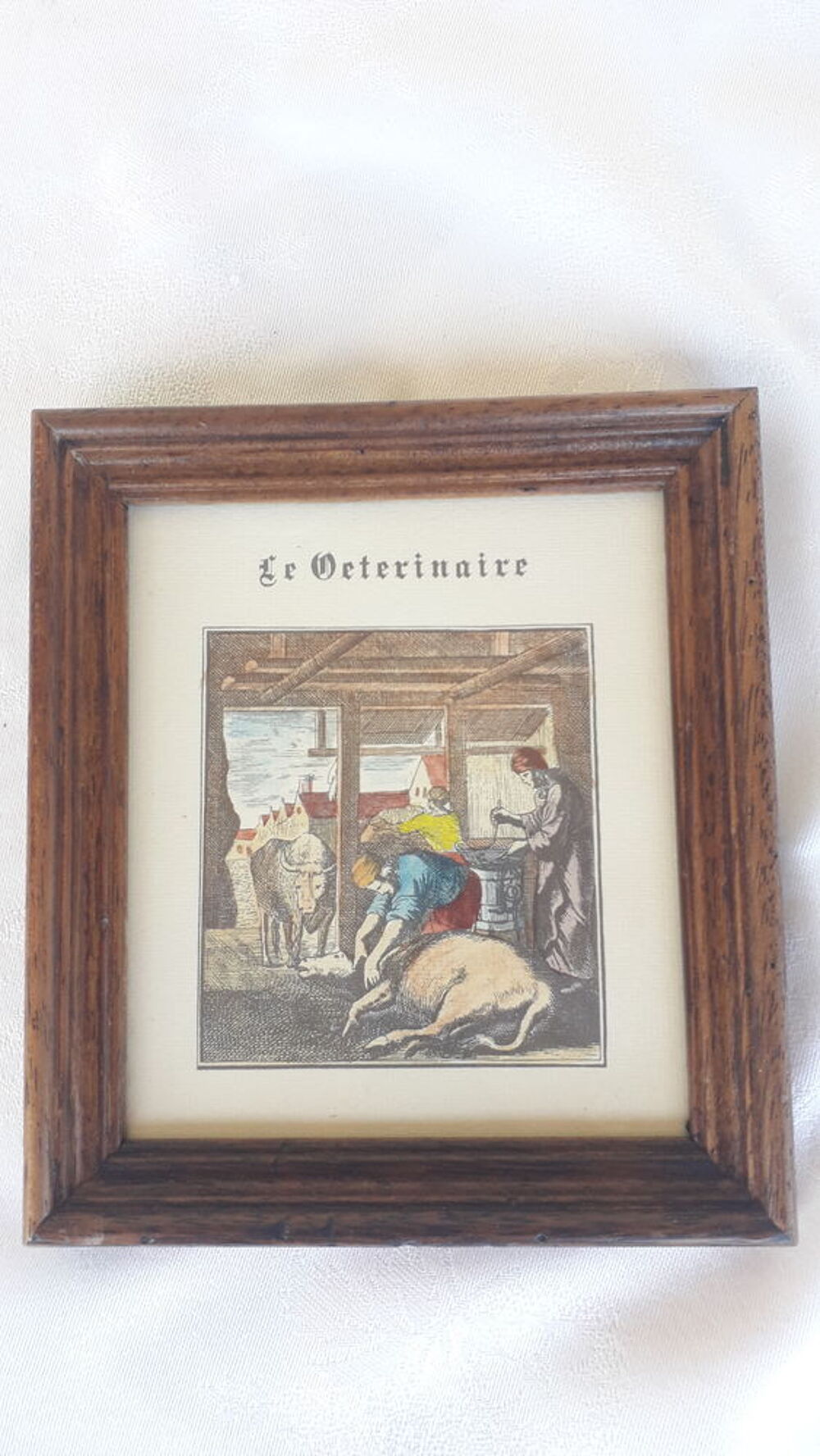 Le v&eacute;t&eacute;rinaire, le gantier, le vitrier
Décoration