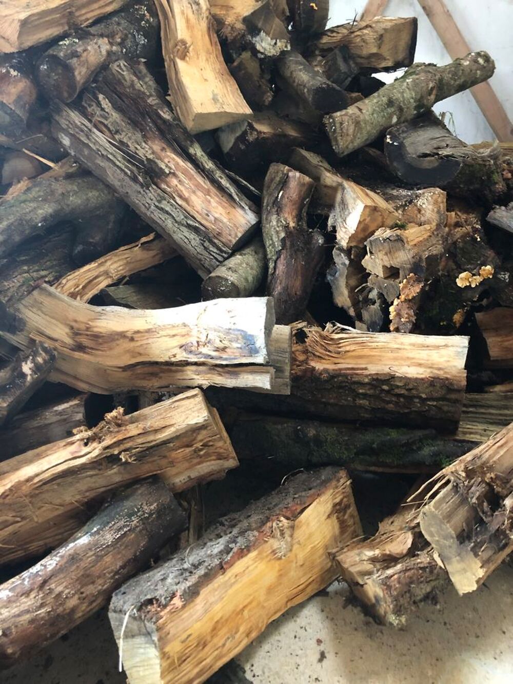 Bois de chauffage en ch&ecirc;ne sec de 0,5 m Jardin
