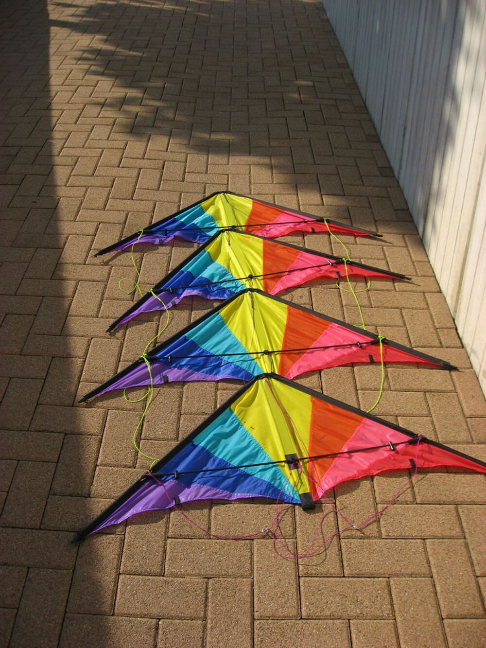 Achetez cerfs volant quasi neuf, annonce vente à Lingolsheim (67) WB171163750