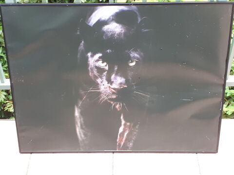 Cadre tableau La Panth�re Noire 5 Montigny-Lencoup (77)