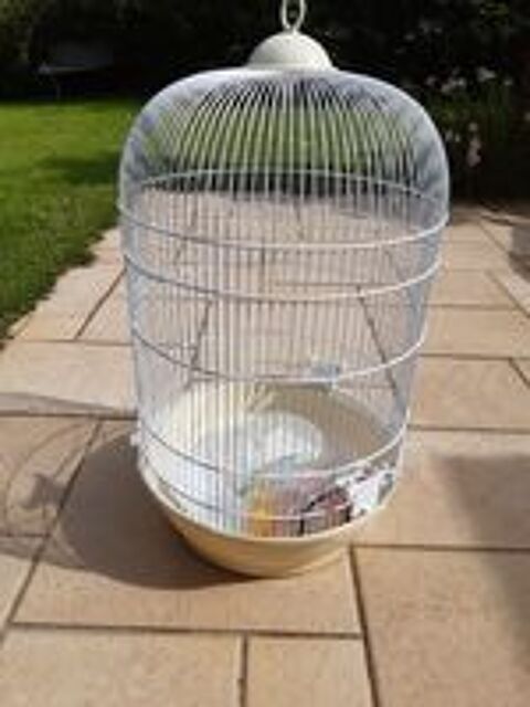   cages oiseaux 