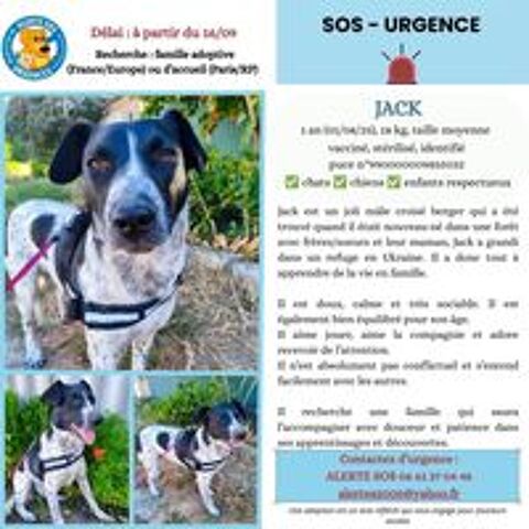   URGENCE POUR JACK 