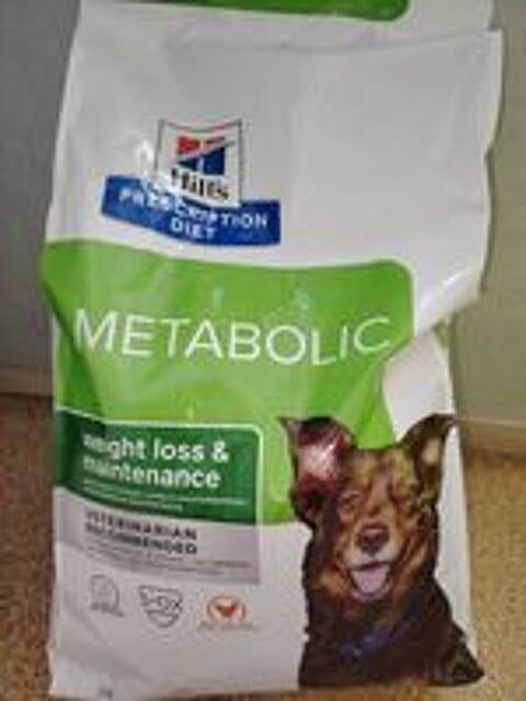   Sac de croquettes pour grand chien  