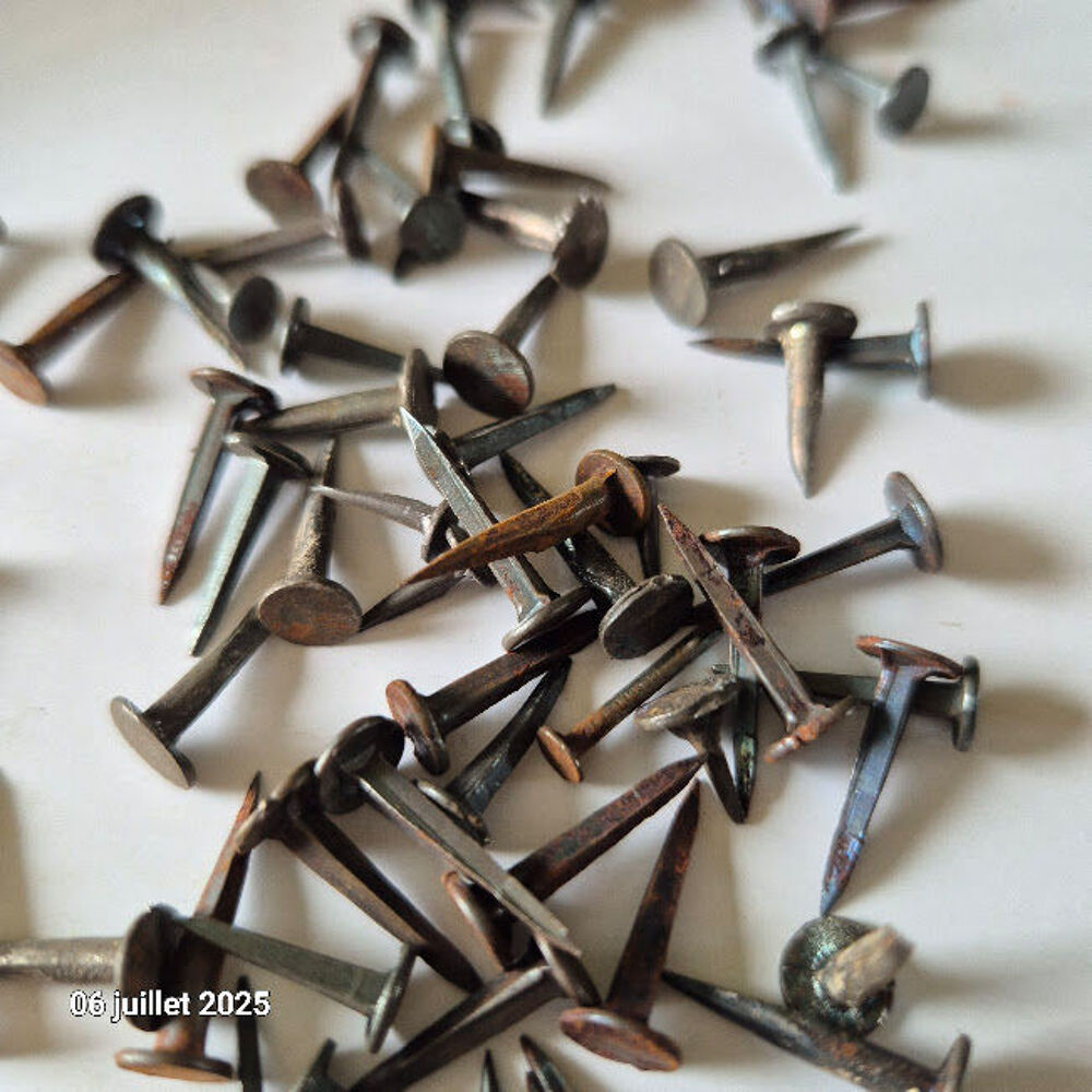 Semence pique tapissiers vendu en sachet de 230gr - disponib Bricolage
