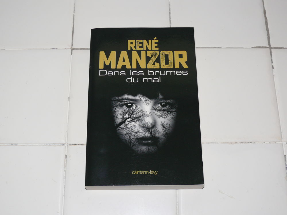 Livre : "Dans les brumes du mal" Livres et BD