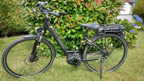 Vélo VAE de marque Pégasus ( Vélo à assistance électrique) 900 Carquefou (44)