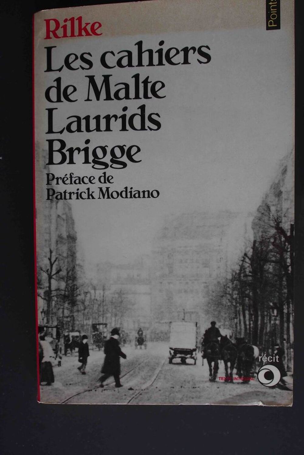 Les cahiers de Malte Laurids Brigge- Rilke, Livres et BD