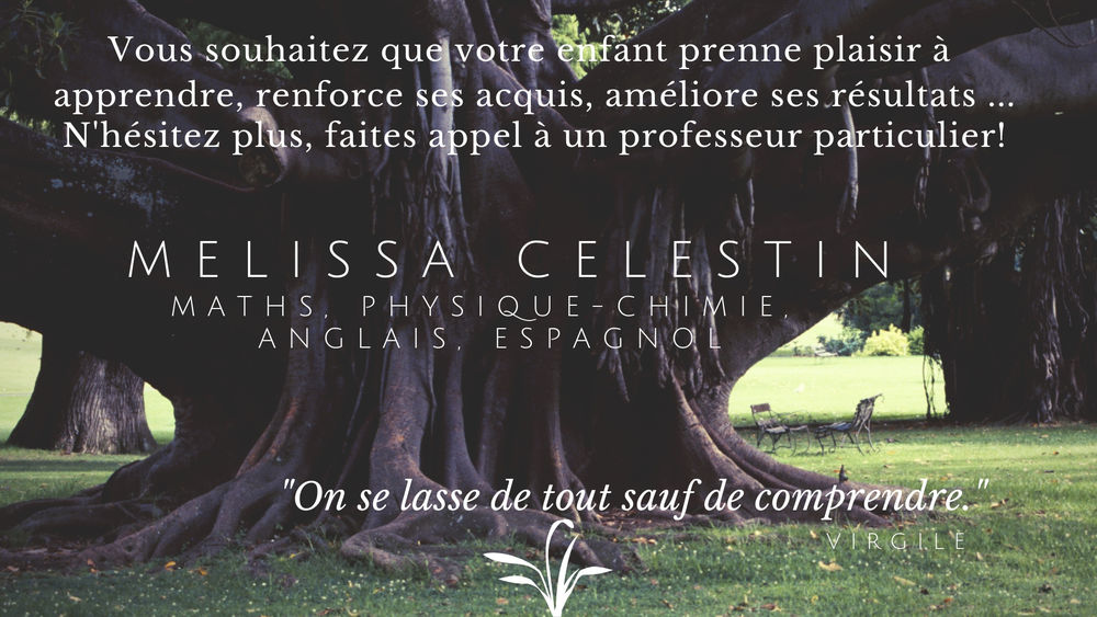   Cours particuliers de Maths et/ou Physique-Chimie 