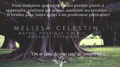 Cours particuliers de Maths et/ou Physique-Chimie 0 97220 La trinit