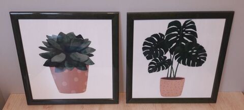 Cadres plantes vertes (5 euros le lot de 2) 5 Metz (57)