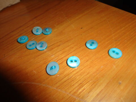 BOUTON VERT D'EAU 2 Doussard (74)