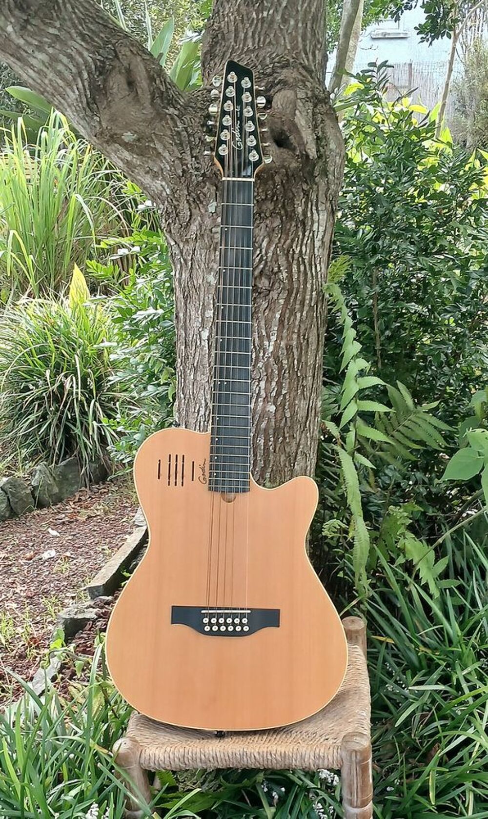 GUITARE ELECTRO ACOUSTIQUE GODIN 12 CORDES PARFAIT ETAT Instruments de musique